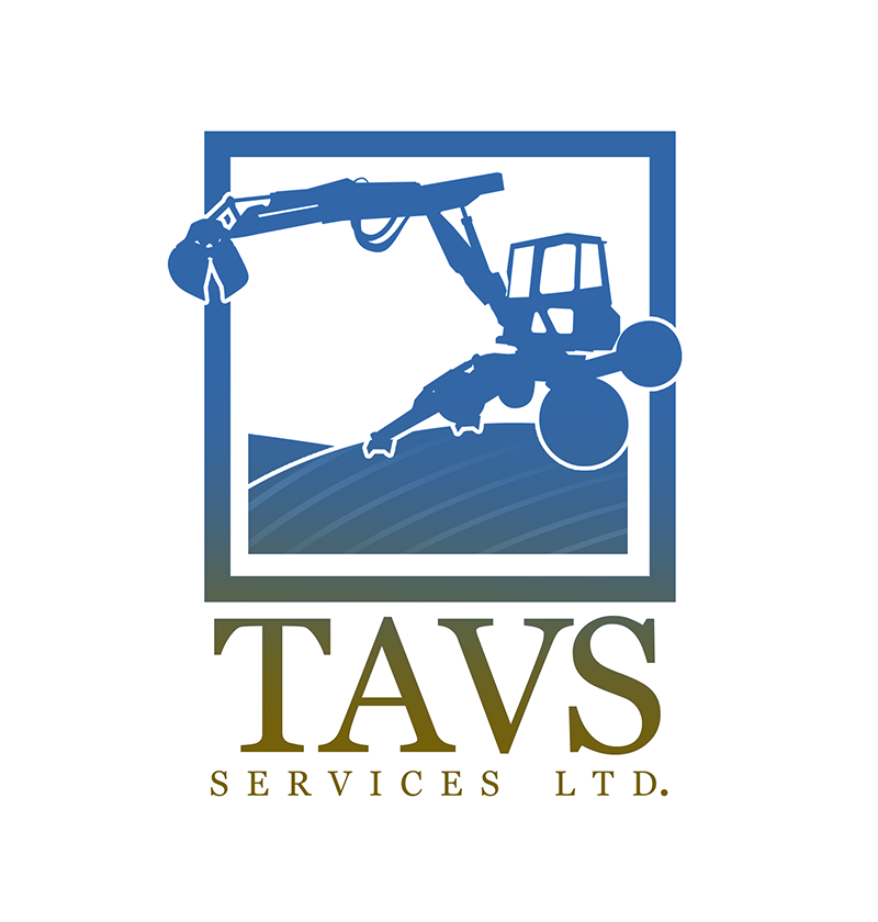 TAVES